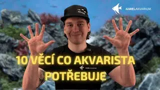 10 Věc&iacute; co akvarista potřebuje
