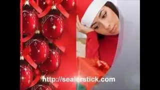 Christmas gift ideas - sealerstick