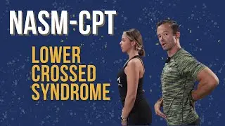 Lower-Crossed Syndrome || NASM-CPT Assessments
