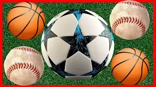 easy english for everyone learn balls | Sport Ball | Easy English Learning Sports Balls