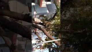 Supporting janta curfew at kendranchal colony lucknow