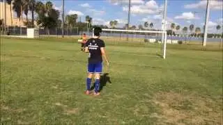Dizzy Penalty Challenge Part 1 (Goal 1: No Poverty)