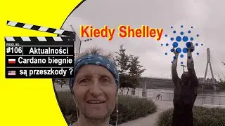 🌱Cardano Shelley : Czy Shelley Mainnet Już Kiełkuje?