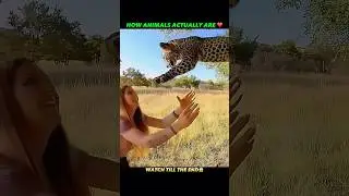From Fear to Love: The Truth About Animals #trending #animals #wildlife #bestfriend #shortvideo