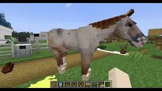 We got 3 (rescue) horses!