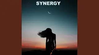 Synergy