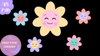 Soft Baby Sensory Video | Pastel Colors High Contrast | Visual Tracking