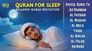 Beautiful Quran For Deep Sleep ✦ Ayatul Kursi, Yasin, Rahman, Waqiah, AlMulk By Alaa Aqel