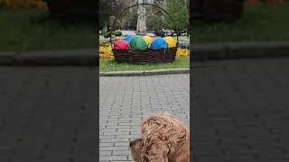 Easter vibes