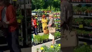 Journ&eacute;e de la Fleur 2024 &agrave; Nevers : le parc Roger-Salengro en mode jardin g&eacute;ant