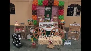 O GRANDE DIA: COMO FICOU A DECORAÇÃO DA FESTA FAZENDINHA DO MIGUEL