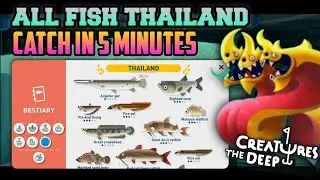 5 Minutes Catching All Fish in Thailand - Creatures of the Deep Fishing