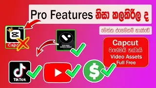 Capcut App එකේ Pro Features නිසා ඩොලර් උපයන වැඩෙි නතර කලාද|මෙන්න හැමදේම Free VITA දැන්ම ට්‍රයි කරන්න