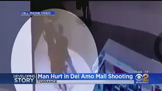 New Video Shows Moments Before Man Is Shot At Del Amo Mall