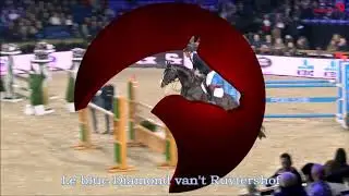 Le Blue Diamond Van't Ruytershof 2019