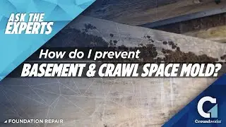How To Prevent Basement & Crawl Space Mold