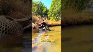 Unique Fish Trap#shorts video.#viral#viral short#short video#short#facts