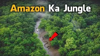 Most Dangerous Animals Of Amazon Rainforest | Strange Facts About Amazon Rainforest (Hindi)