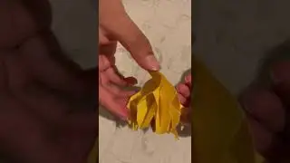 Octopus Alien Origami demo