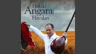 Su gelir güldür güldür