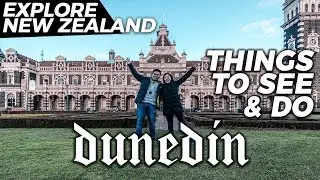 DUNEDIN, NEW ZEALAND | Top Things To See and Do | Dunedin Travel Guide