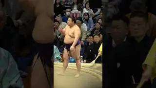 美ノ海　#Churanoumi #令和6年九月場所十日目