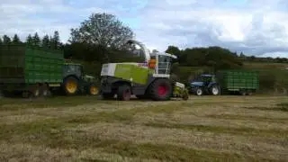 Silage 2011