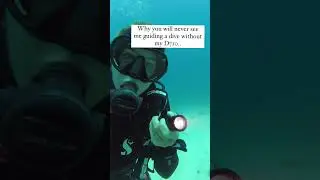 Do You Carry a Dive Torch for Your Diving?