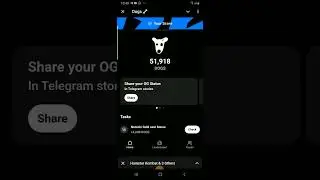 dogs listing on august 14th