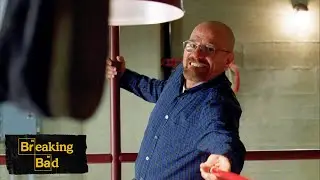 Walter Fights The Fly | Fly | Breaking Bad