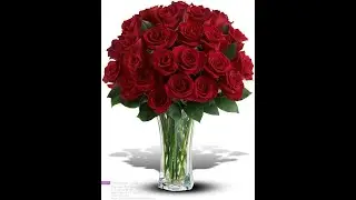 The Miami Florist 811 NW 119th St North Miami FL 33168 (786) 536-5974  North Miami Florist