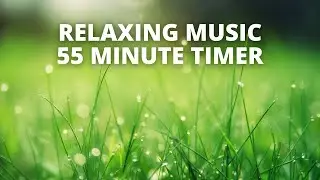 55 minutes of relaxing music countup timer