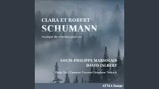 Andante et variations en si bémol majeur, Op. 46