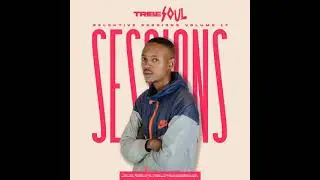 Selektive Sessions 017 (Mixed By TribeSoul)