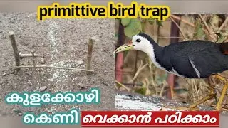 Bird trap | primitive technology bird trap malayalam | കുളക്കോഴി കെണി വെക്കാം