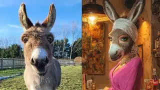 Animal in Funny Female Life 🤣 | Donkey Version | part -1 | #cartoon #animals