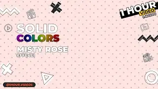 Misty Rose #FFE4E1 - No Audio - 1 Hour - 4k - Chromotherapy - Solid Color