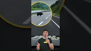 Tesla Just Embarrassed Every EV Brand in China&rsquo;s Extreme ADAS Test #adas #tesla #autopilot