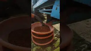 turr raas #cricketcompetition #videogedreht #youtuber #youtubeislife #turbo #farming