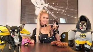 Paris Hilton's Halloween Costume Lookbook for Dogs | Paris Hilton