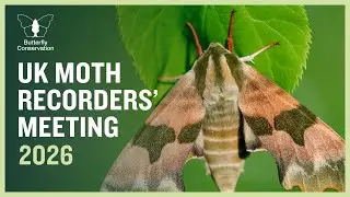 UK Moth Recorders' Meeting 2026