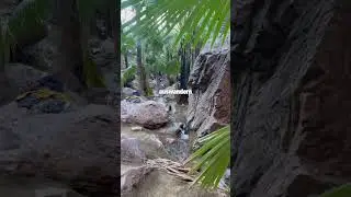Tag 120: Entschleunigung in Zebedee Springs & Offroad-Abenteuer Richtung Purnululu Nationalpark