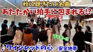 【ストリートピアノ】『ワインレッドの心』安全地帯／玉置浩二 秋に聴きたい名曲！駅ピアノがあたたかい拍手に包まれる！？〔デュオ神戸ストリートピアノ〕