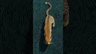 Fragment Collection Chapter 2 mixed by ZUMEK