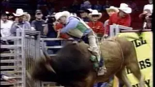 WOLLY BULLY - BULL RIDING!
