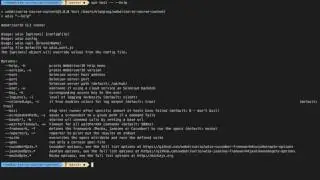 Storing cloud Selenium credentials in WebdriverIO