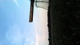cannon vs 2x4