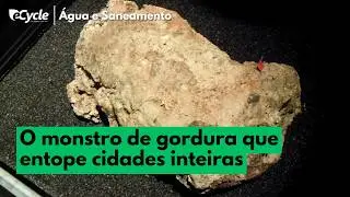 Fatberg: o &ldquo;iceberg&rdquo; de gordura