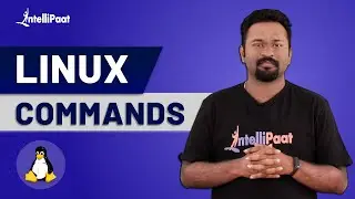 Команды Linux | Команды Linux для начинающих | Учебное пособие по Linux для начинающих | Intellipaat