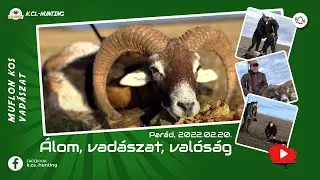 Muflon kos vadászat Parád 2022.02.20. K.CS.-Hunting